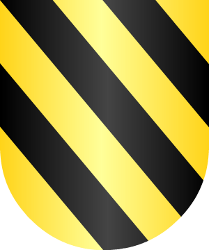 ESCUDO ALEATORIO